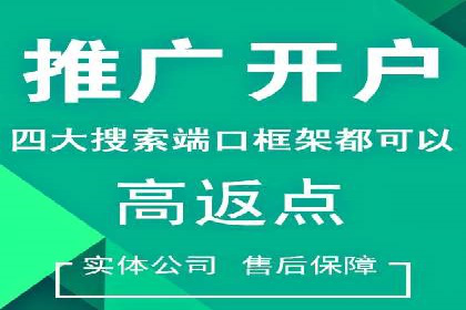 成功SEM托管案例：流量与转化双赢